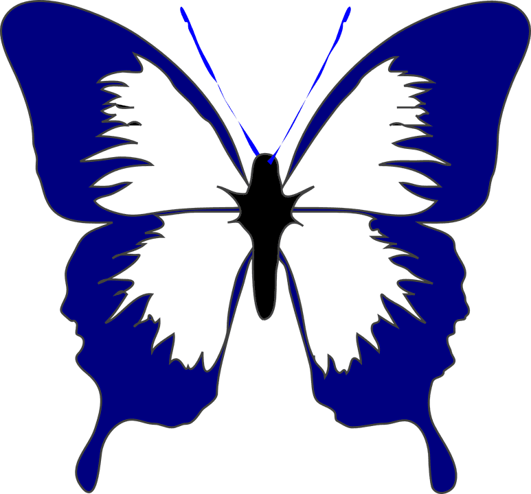 Butterfly, Insect, Spring, Navy Blue, Beautiful, Summer - Butterfly Black And White Clipart - Free Transparent PNG Clipart Images Download. - Transparent PNG Free Download | PNGio