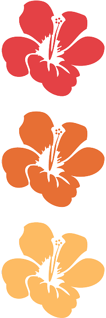 Flower, Flowers, Summer, Hawaii, Floral - 하와이 Png - Free Transparent PNG Clipart Images Download. - Transparent PNG Free Download | PNGio