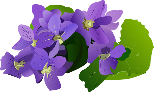 Victorian Summer Flowers Clip Art - Free Clip Art Violet - Free Transparent PNG Clipart Images Download. - Transparent PNG Free Download | PNGio