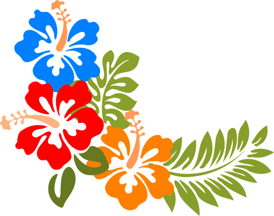 Summer Flower Cliparts 10, Buy Clip Art - Hibiscus Clipart - Free Transparent PNG Clipart Images Download. - Transparent PNG Free Download | PNGio