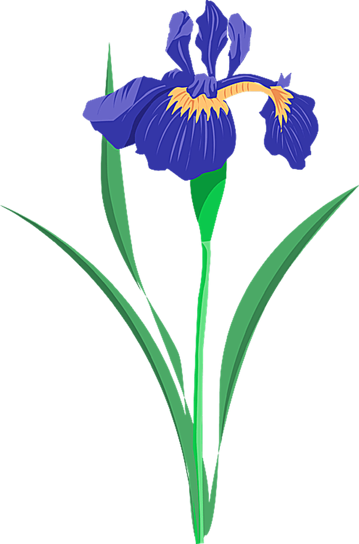 Grab This Free Summer Flower Clip Art - Purple Iris Clip Art - Free Transparent PNG Clipart Images Download. - Transparent PNG Free Download | PNGio