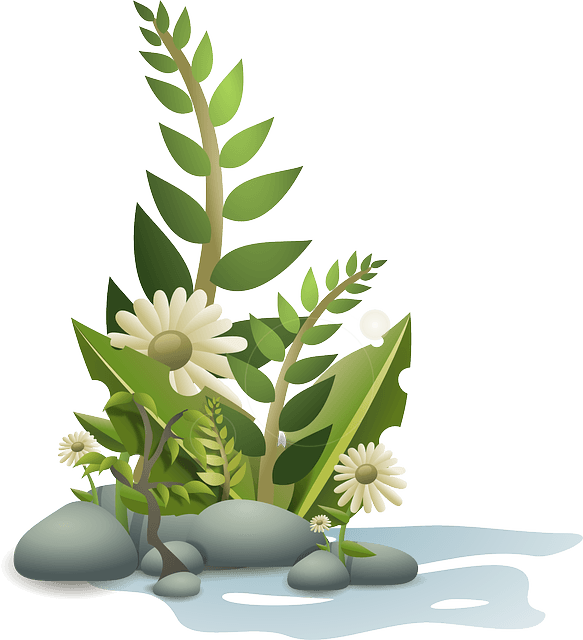 Flower, Plant, Tropical, Nature, Garden, Summer, Floral - Plants Clipart Png - Free Transparent PNG Clipart Images Download. - Transparent PNG Free Download | PNGio