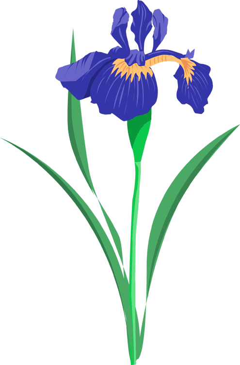 Grab This Free Summer Flower Clip Art - Purple Iris Clip Art - Free Transparent PNG Clipart Images Download. - Transparent PNG Free Download | PNGio