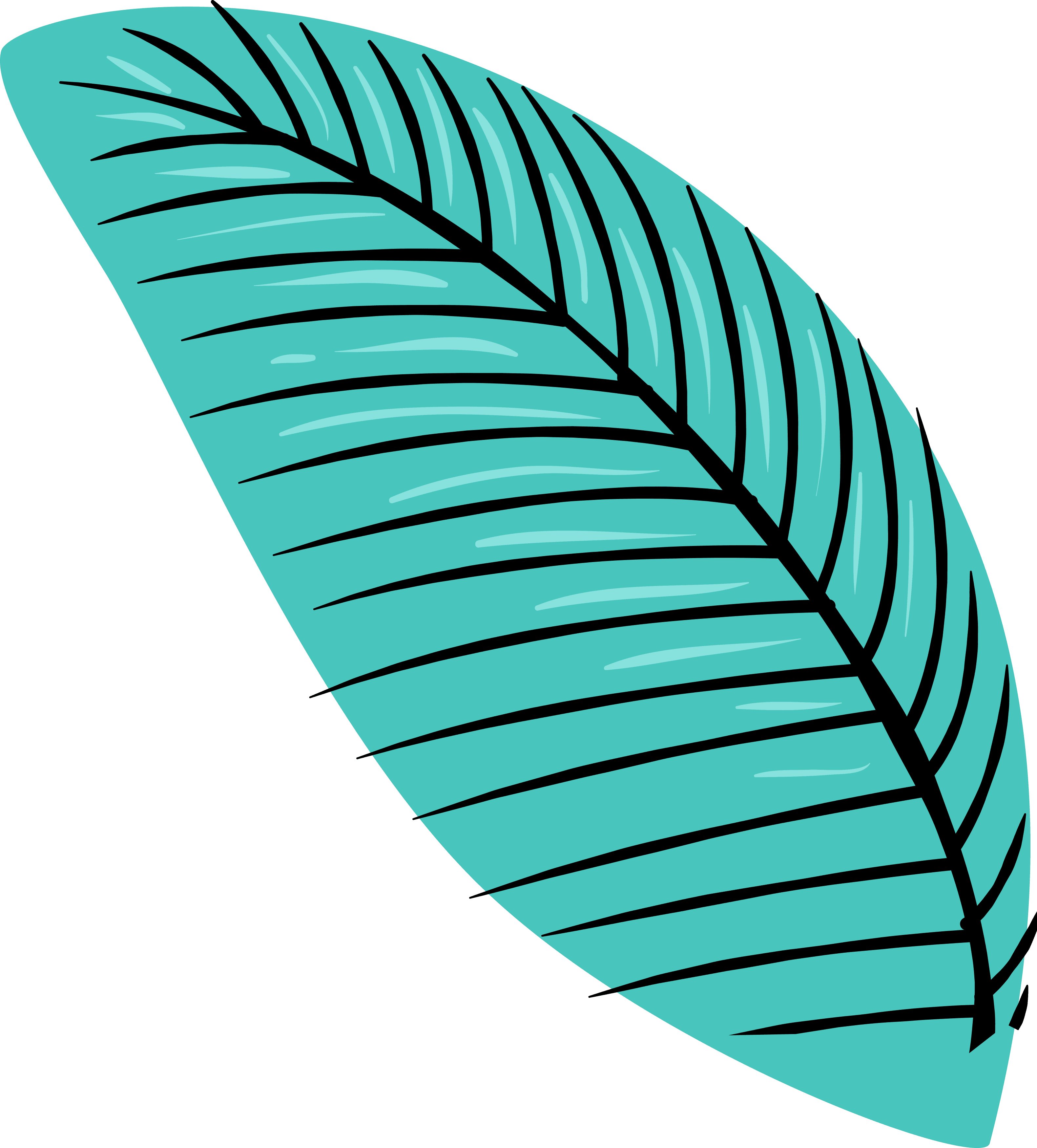 Free Summer Fun Clipart - Euclidean Vector - Free Transparent PNG Clipart Images Download. - Transparent PNG Free Download | PNGio