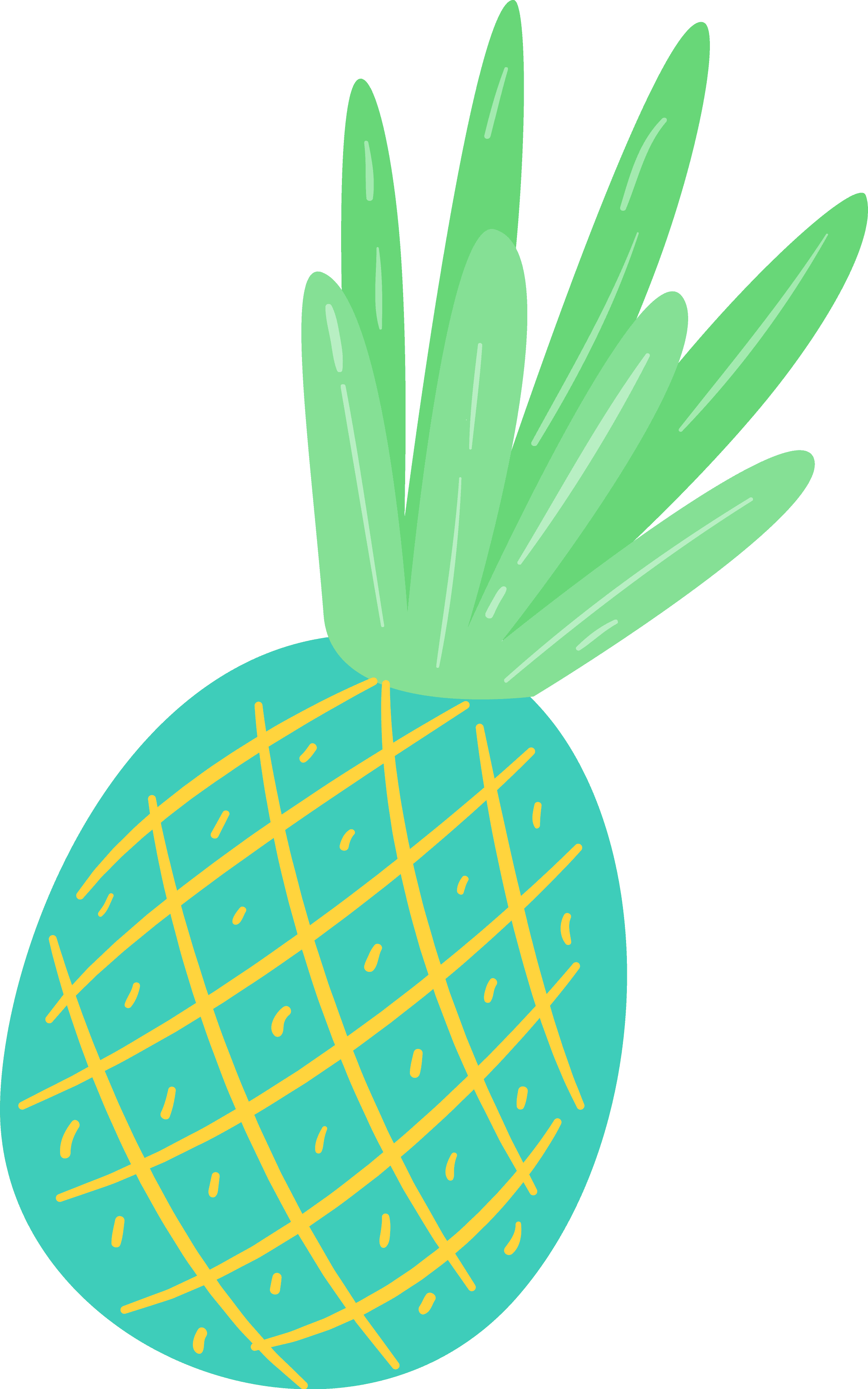 Free Summer Fun Clipart Pretty Things For You - Instagram - Free Transparent PNG Clipart Images Download. - Transparent PNG Free Download | PNGio