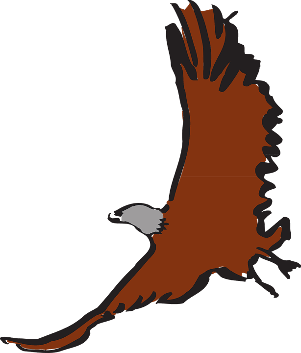 Chester Summer Explore And Soar - Clip Art - Free Transparent PNG Clipart Images Download. - Transparent PNG Free Download | PNGio