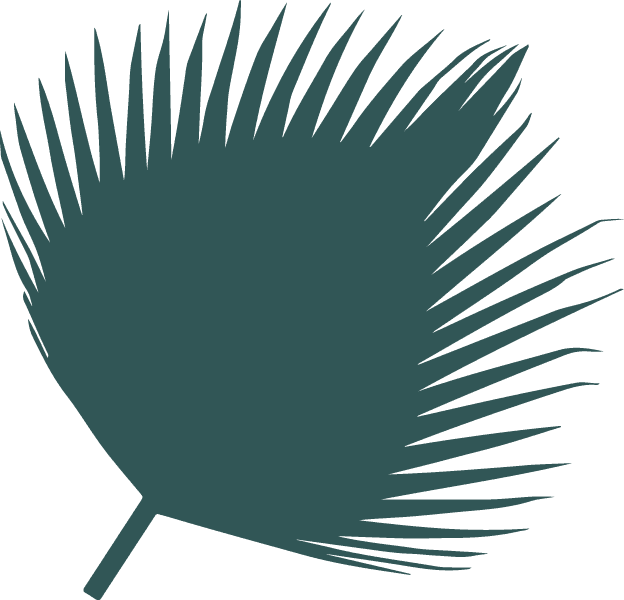 The Surf's Up At Trcc This Summer Ride The Wave Into - The Surf's Up At Trcc This Summer Ride The Wave Into - Free Transparent PNG Clipart Images Download. - Transparent PNG Free Download | PNGio