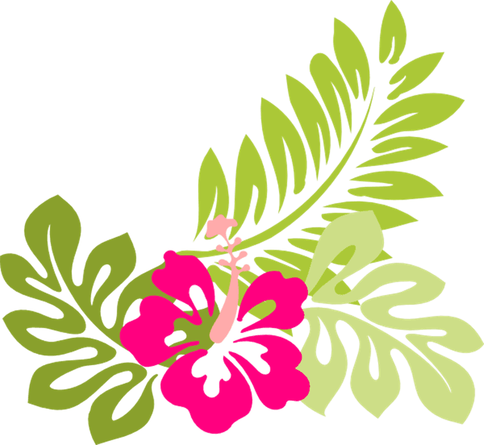 Summer Flowers Clipart Butterfly And Flowers - Hawaiian Flower Png - Free Transparent PNG Clipart Images Download. - Transparent PNG Free Download | PNGio