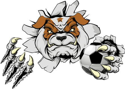 Dog Days Of Summer - Bulldog - Free Transparent PNG Clipart Images Download. - Transparent PNG Free Download | PNGio