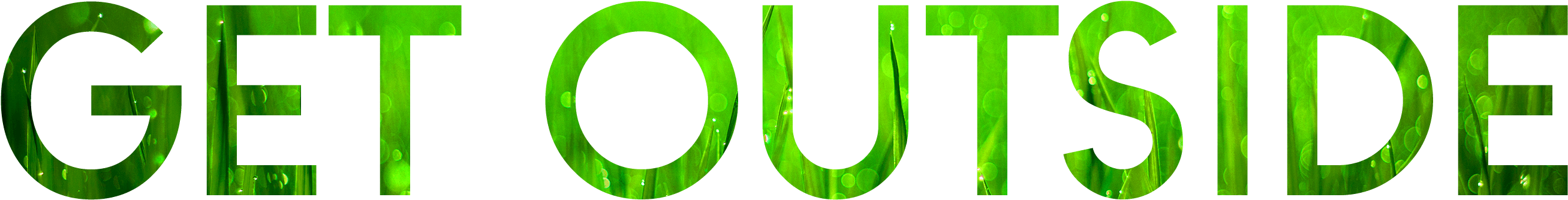 Whether You're Going To Your Favorite Park Or Throwing - Colorfulness - Free Transparent PNG Clipart Images Download. - Transparent PNG Free Download | PNGio