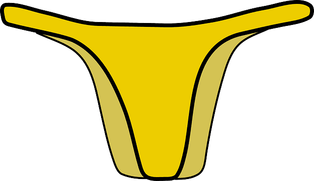 Female Bikini, Panties, Summer, Yellow, Clothing, Female - Panties - Free Transparent PNG Clipart Images Download. - Transparent PNG Free Download | PNGio