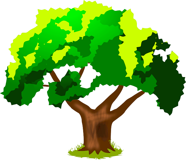 Summer Plant, Tree, Green, Trunk, Leaves, Spring, Summer - Harwood Park Primary School - Free Transparent PNG Clipart Images Download. - Transparent PNG Free Download | PNGio