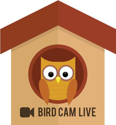 Summer Fete, Saturday 7th July, 12 - House - Free Transparent PNG Clipart Images Download. - Transparent PNG Free Download | PNGio