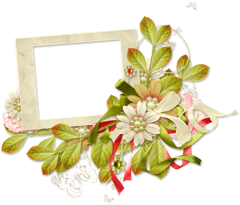 Frame, Photo Frame, Spring, Summer, Flowers, Greens - Stitchwort - Free Transparent PNG Clipart Images Download. - Transparent PNG Free Download | PNGio