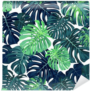 Green Vector Pattern With Monstera Palm Leaves On Dark - Monstera Palm Leaves Background - Free Transparent PNG Clipart Images Download. - Transparent PNG Free Download | PNGio