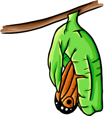 George Learns A Valuable Lesson In The Summer Which - Butterfly Coming Out Of Cocoon Clipart - Free Transparent PNG Clipart Images Download. - Transparent PNG Free Download | PNGio