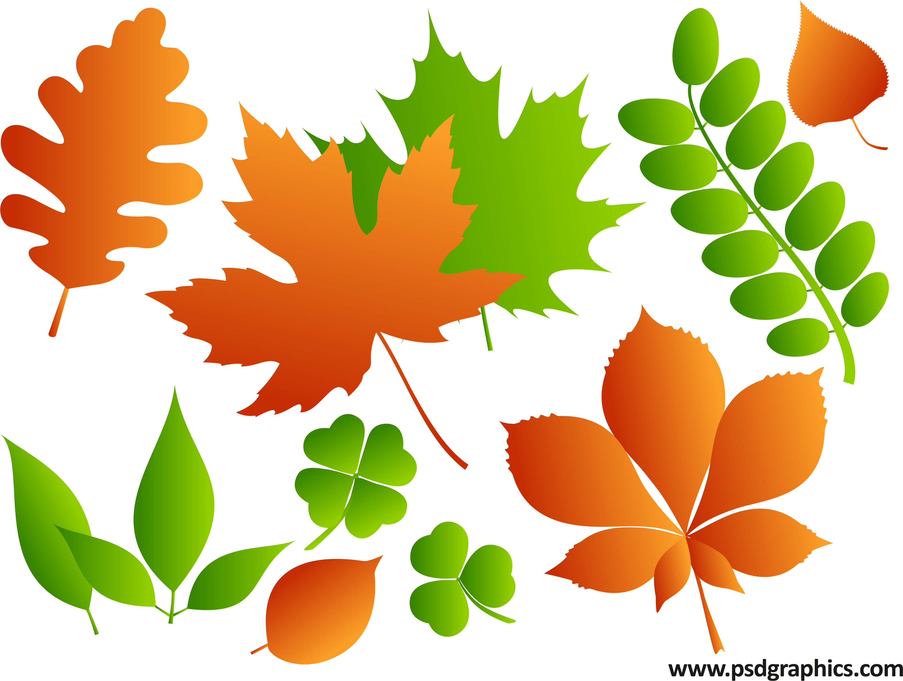 Summer Landscape Illustration - Maple Leaf Ai Download - Free Transparent PNG Clipart Images Download. - Transparent PNG Free Download | PNGio