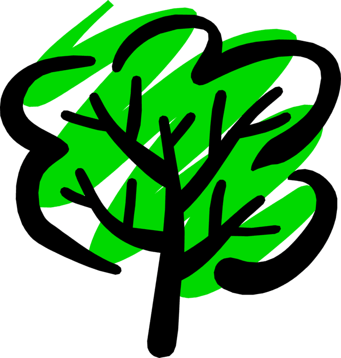 Vector Illustration Of Deciduous Forest Tree In Summer - Short Story - Free Transparent PNG Clipart Images Download. - Transparent PNG Free Download | PNGio