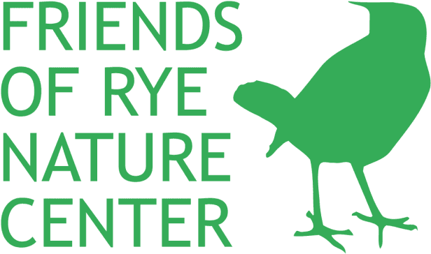 The Friends Of Rye Nature Center's Summer Day Camp - White Gloss Removable Paper Butt-cut Roll Labels ( - Free Transparent PNG Clipart Images Download. - Transparent PNG Free Download | PNGio