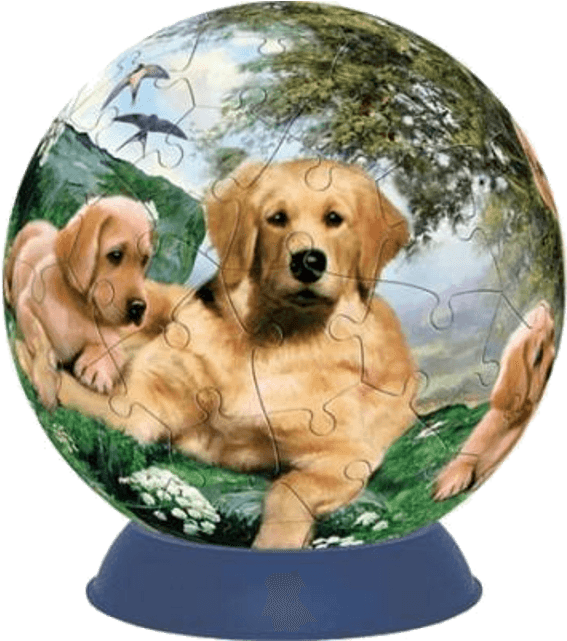 Golden Summer Days - Getting Fit Unicorn Golden Summer Days Puzzle Ball - Free Transparent PNG Clipart Images Download. - Transparent PNG Free Download | PNGio