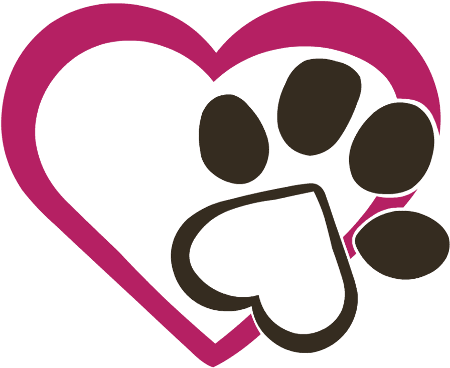 Summer Tips To Keep Your Dog Safe And Cool The Happy - Summer Tips To Keep Your Dog Safe And Cool The Happy - Free Transparent PNG Clipart Images Download. - Transparent PNG Free Download | PNGio