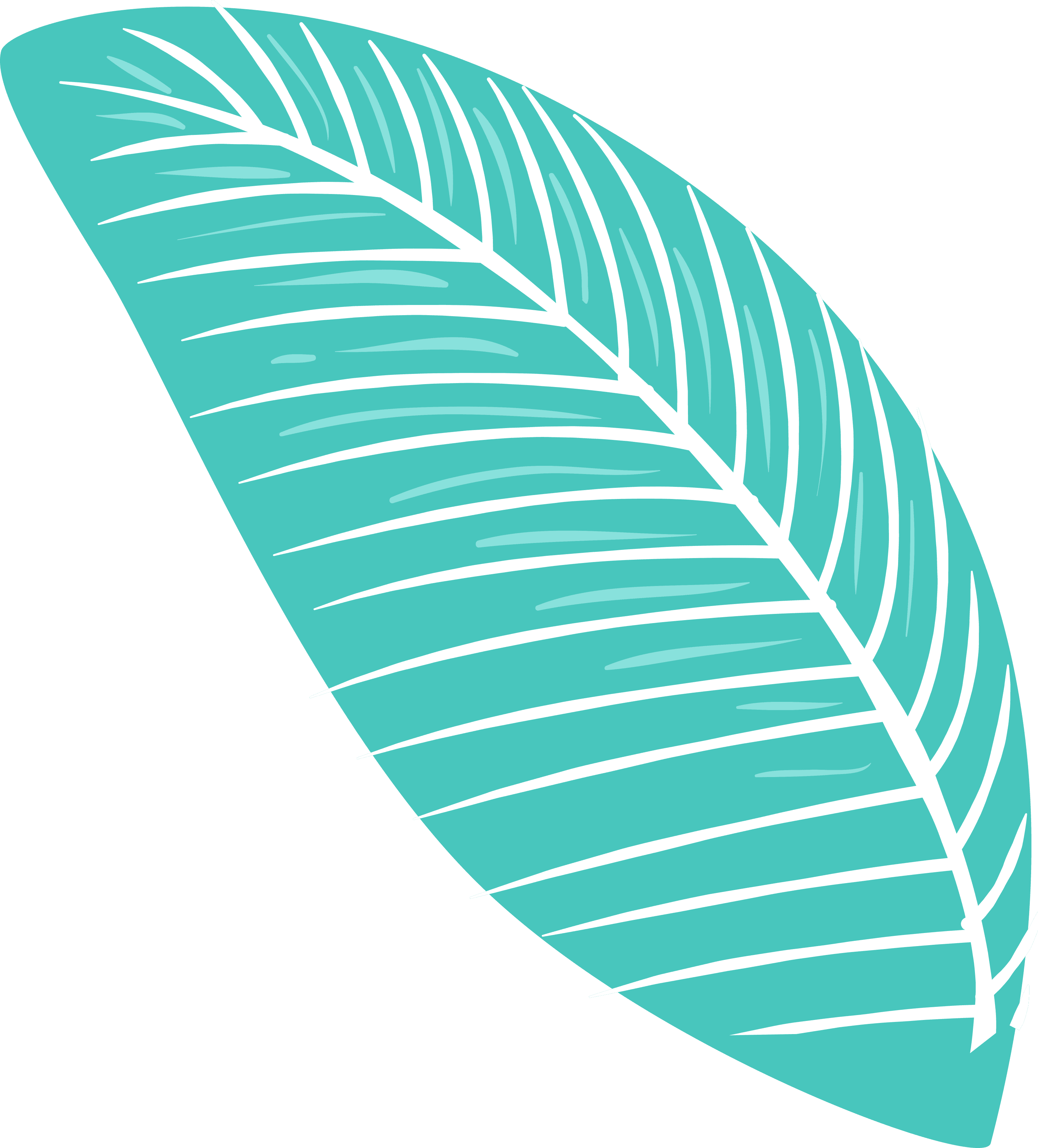 Free Summer Fun Clipart - Leaf - Free Transparent PNG Clipart Images Download. - Transparent PNG Free Download | PNGio