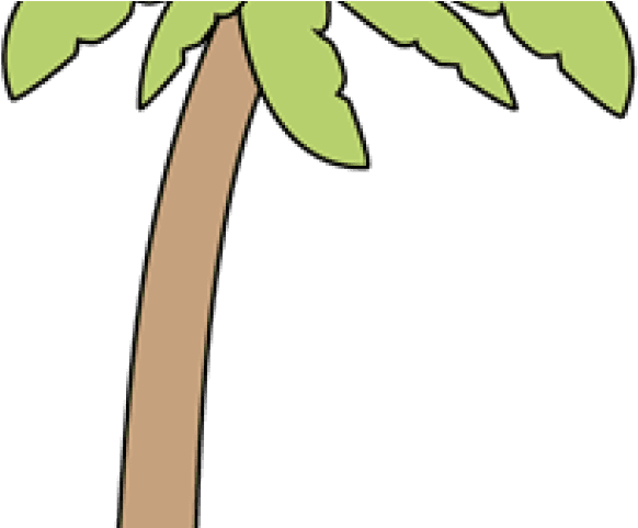 Palm Tree Clipart Summer - Clip Art - Free Transparent PNG Clipart Images Download. - Transparent PNG Free Download | PNGio