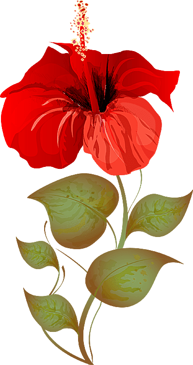 A Bouquet Of Summer Flowers Clip Art - Flawar Clip Arts - Free Transparent PNG Clipart Images Download. - Transparent PNG Free Download | PNGio