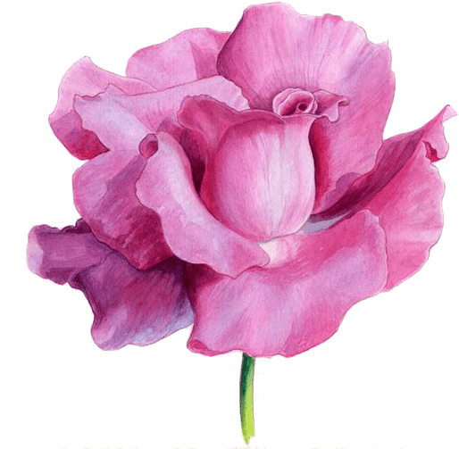 Pretty Summer Dresses, Watercolor Flowers, Watercolor - Watercolor Painting - Free Transparent PNG Clipart Images Download. - Transparent PNG Free Download | PNGio