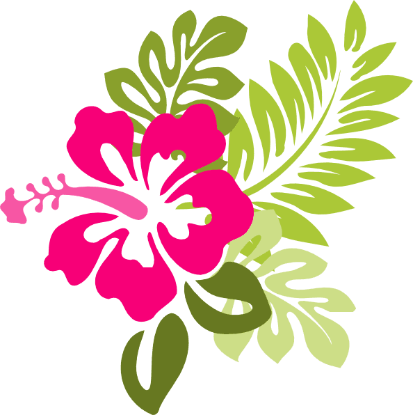 Neds Summer Luau Play Party 24 August - Hibiscus Clip Art - Free Transparent PNG Clipart Images Download. - Transparent PNG Free Download | PNGio
