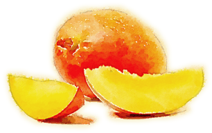 Dinner In The Garden - Peel - Free Transparent PNG Clipart Images Download. - Transparent PNG Free Download | PNGio