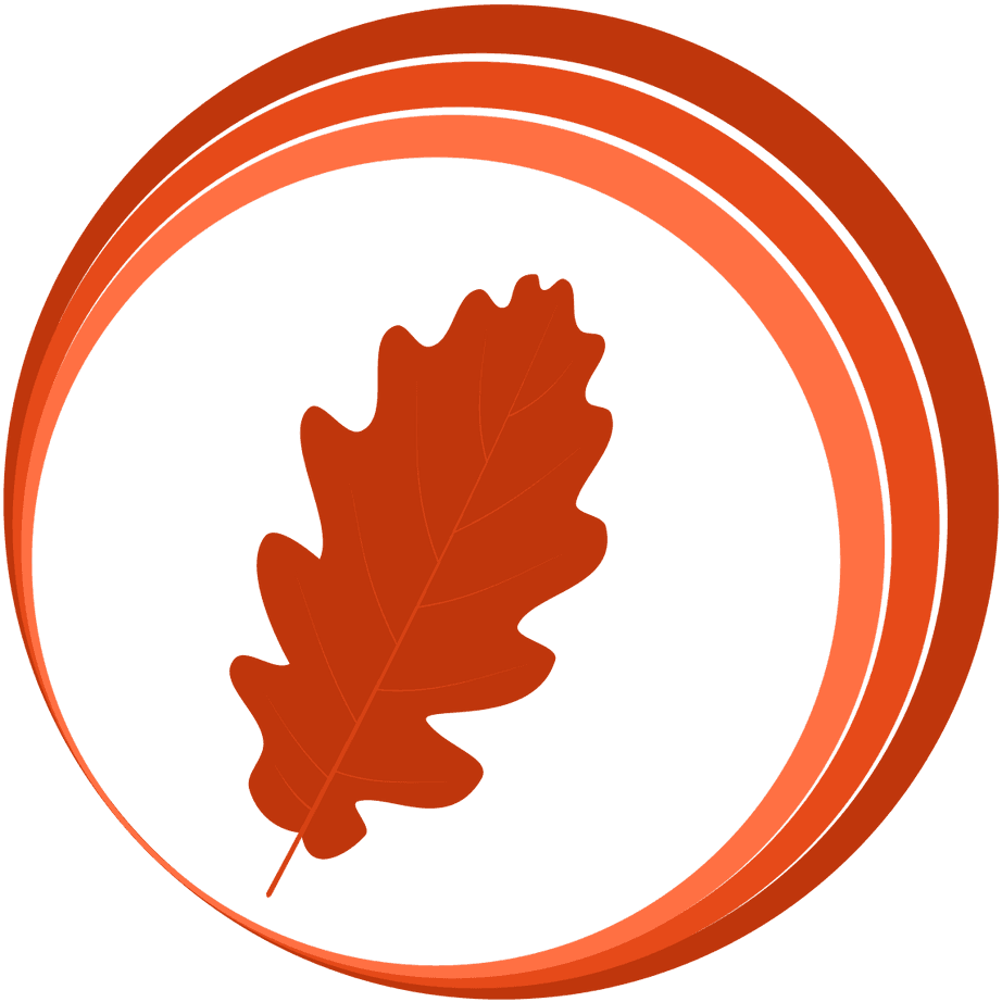 Autumn, Spring, Summer - Primavera Verano Otoño Invierno Png - Free Transparent PNG Clipart Images Download. - Transparent PNG Free Download | PNGio