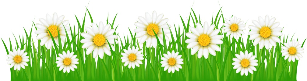 Preparing Your System For The Heat Of Summer Will Help - Flower And Grass Clipart - Free Transparent PNG Clipart Images Download. - Transparent PNG Free Download | PNGio