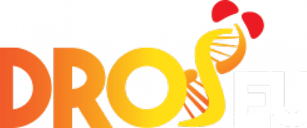 Droseu /eseb Stn Summer School On Adaptation Genomics - Graphic Design - Free Transparent PNG Clipart Images Download. - Transparent PNG Free Download | PNGio