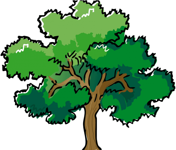 Mango Clipart Summer - Oak Tree - Free Transparent PNG Clipart Images Download. - Transparent PNG Free Download | PNGio