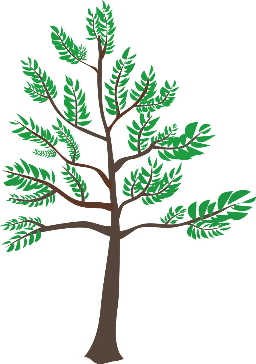 Vector - Vector - Free Transparent PNG Clipart Images Download. - Transparent PNG Free Download | PNGio