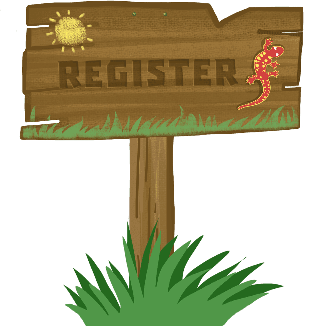 Lovewell Outdoor Summer Day In Nashua Nh - Lovewell Outdoor Summer Day In Nashua Nh - Free Transparent PNG Clipart Images Download. - Transparent PNG Free Download | PNGio