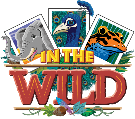 Coming Summer 2019 - Coming Summer 2019 - Free Transparent PNG Clipart Images Download. - Transparent PNG Free Download | PNGio