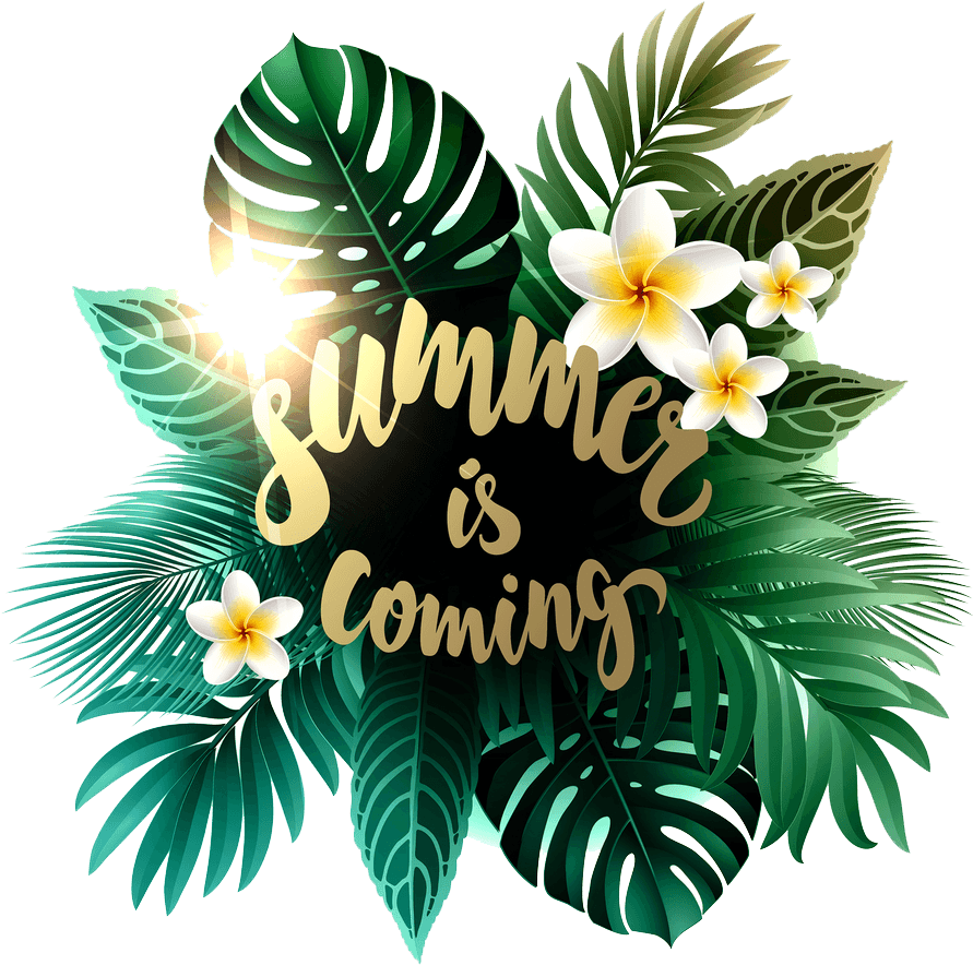 Free Summer Is Comming Png Image - Free Summer Is Comming Png Image - Free Transparent PNG Clipart Images Download. - Transparent PNG Free Download | PNGio
