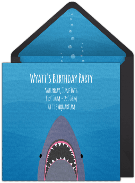 Planning A Shark Themed Birthday Party This Summer - Shark - Free Transparent PNG Clipart Images Download. - Transparent PNG Free Download | PNGio