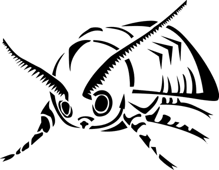 Moth, Insect, Fly, Wing, Summer - Insect - Free Transparent PNG Clipart Images Download. - Transparent PNG Free Download | PNGio