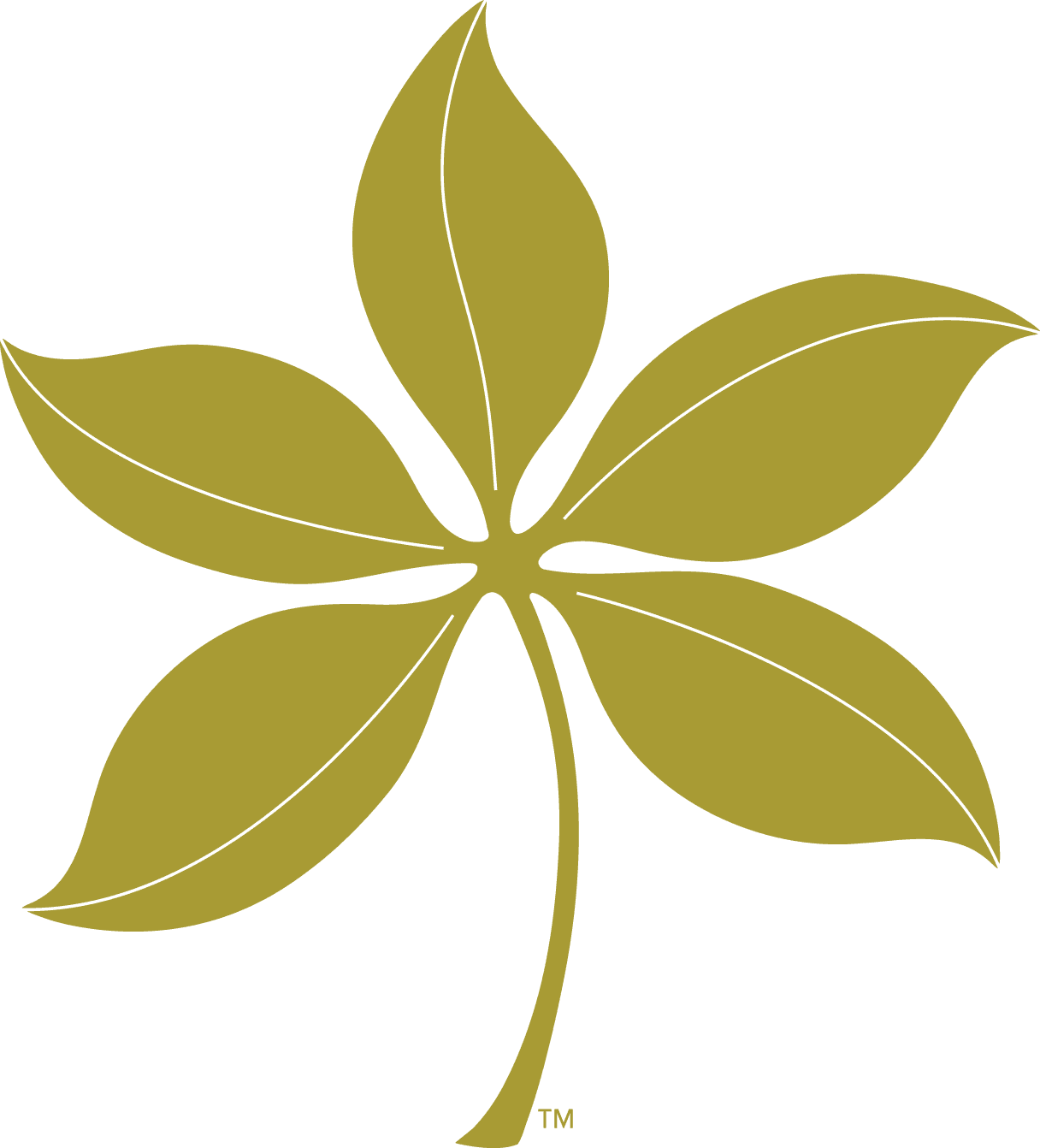 Summer - Osu Buckeye Leaf Logo Transparent Background - Free Transparent PNG Clipart Images Download. - Transparent PNG Free Download | PNGio