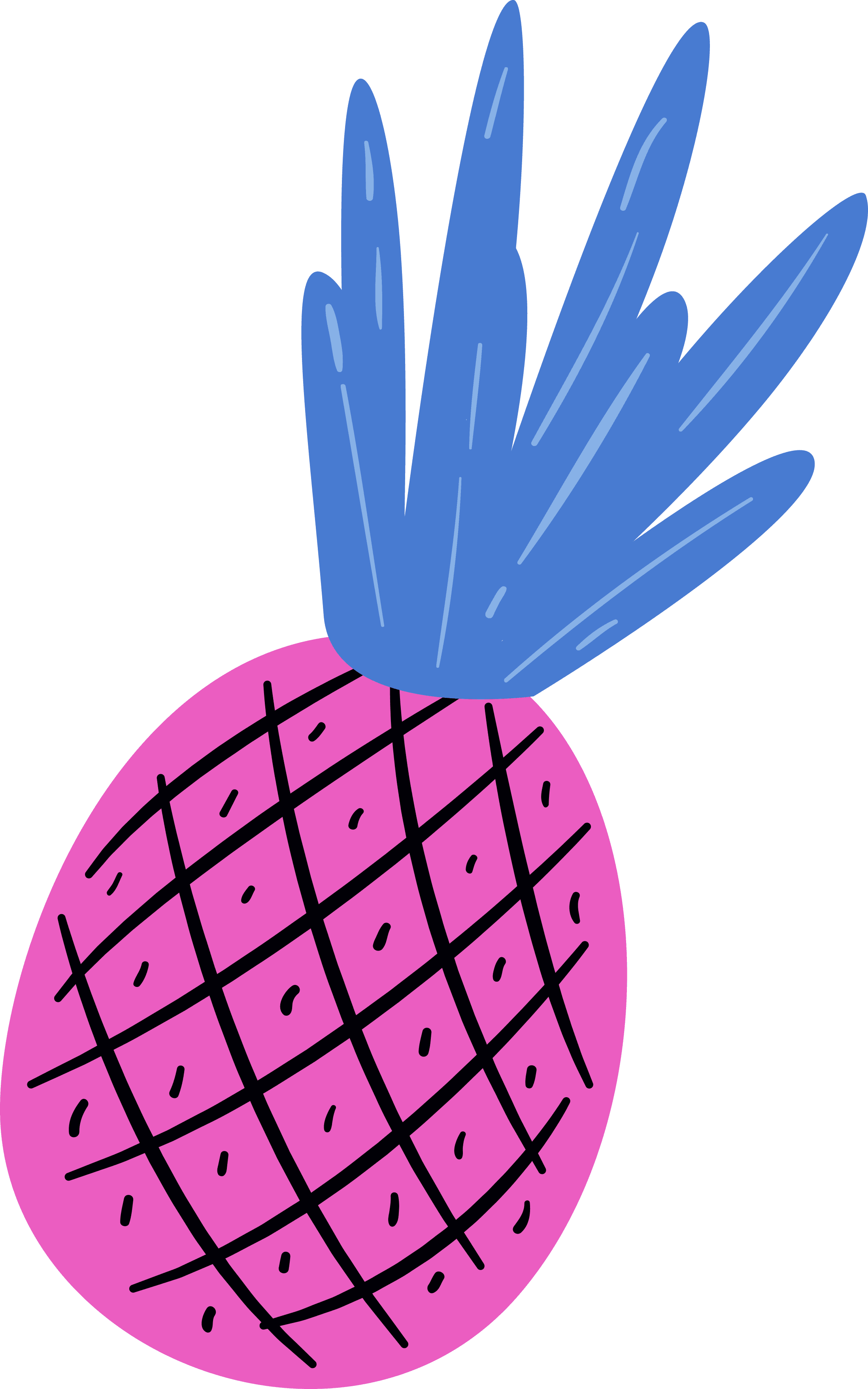 Free Fun Pretty Things For You Leave - Summer Fun Clipart Transparent Transparent PNG - 2196x3513 - Free Download on - Transparent PNG Free Download | PNGio