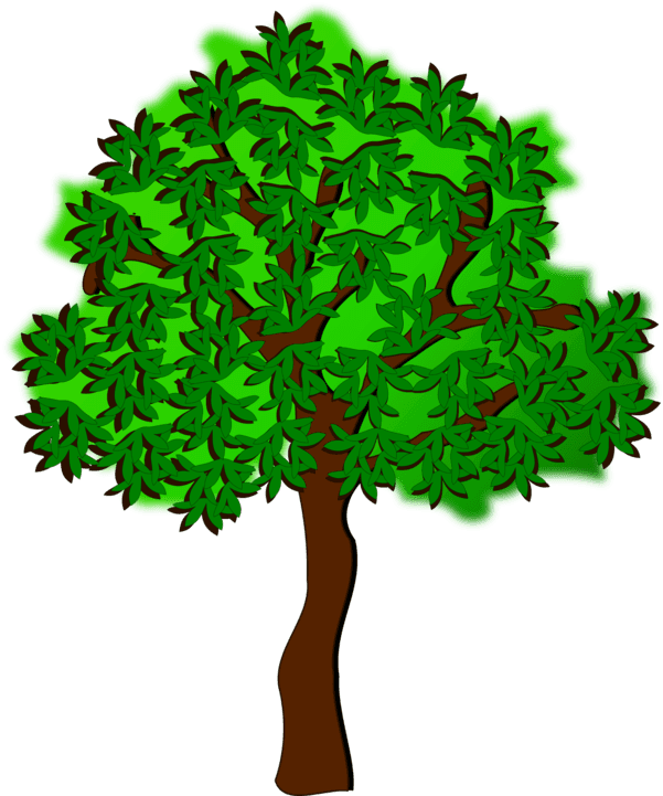 Summer Season Tree Autumn Drawing - Summer Season Tree Transparent PNG - 750x750 - Free Download on - Transparent PNG Free Download | PNGio
