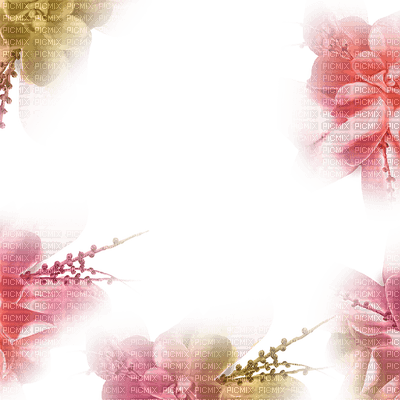 Loly33 Frame Cadre Flower - Summer Flowers Frame Png Transparent PNG - 400x400 - Free Download on - Transparent PNG Free Download | PNGio