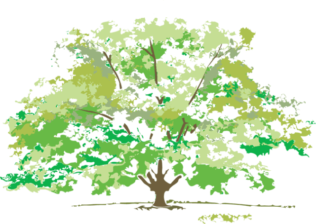 Free Maple Tree Clip Art Design - Summer Nature Clip Art Transparent PNG - 640x454 - Free Download on - Transparent PNG Free Download | PNGio