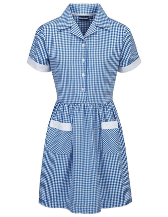 Banner Gingham School Dress - Gingham Summer Dress Green Transparent PNG - 430x430 - Free Download on - Transparent PNG Free Download | PNGio