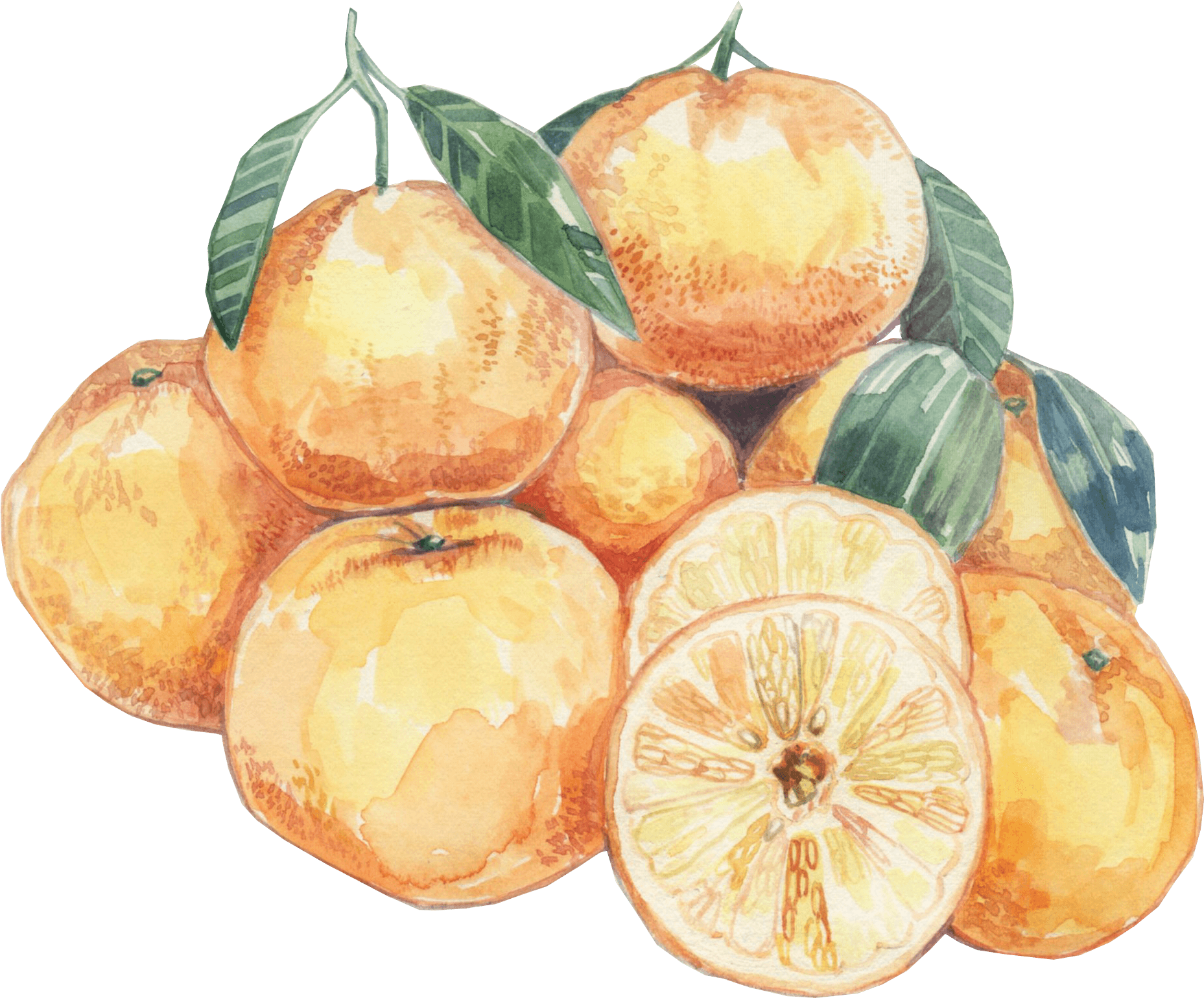 Summer Oranges - Orange Transparent PNG - 1923x1616 - Free Download on - Transparent PNG Free Download | PNGio