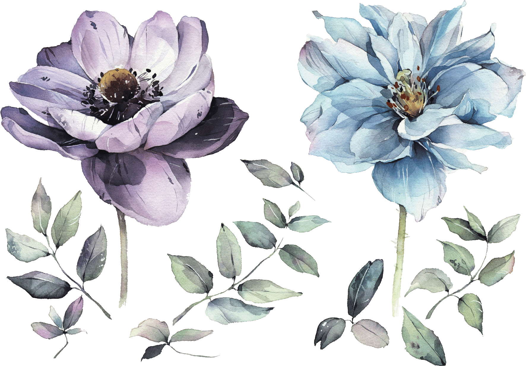 Summer Flowers - Flower Тату Цветов Png Transparent PNG - 2000x2000 - Free Download on - Transparent PNG Free Download | PNGio