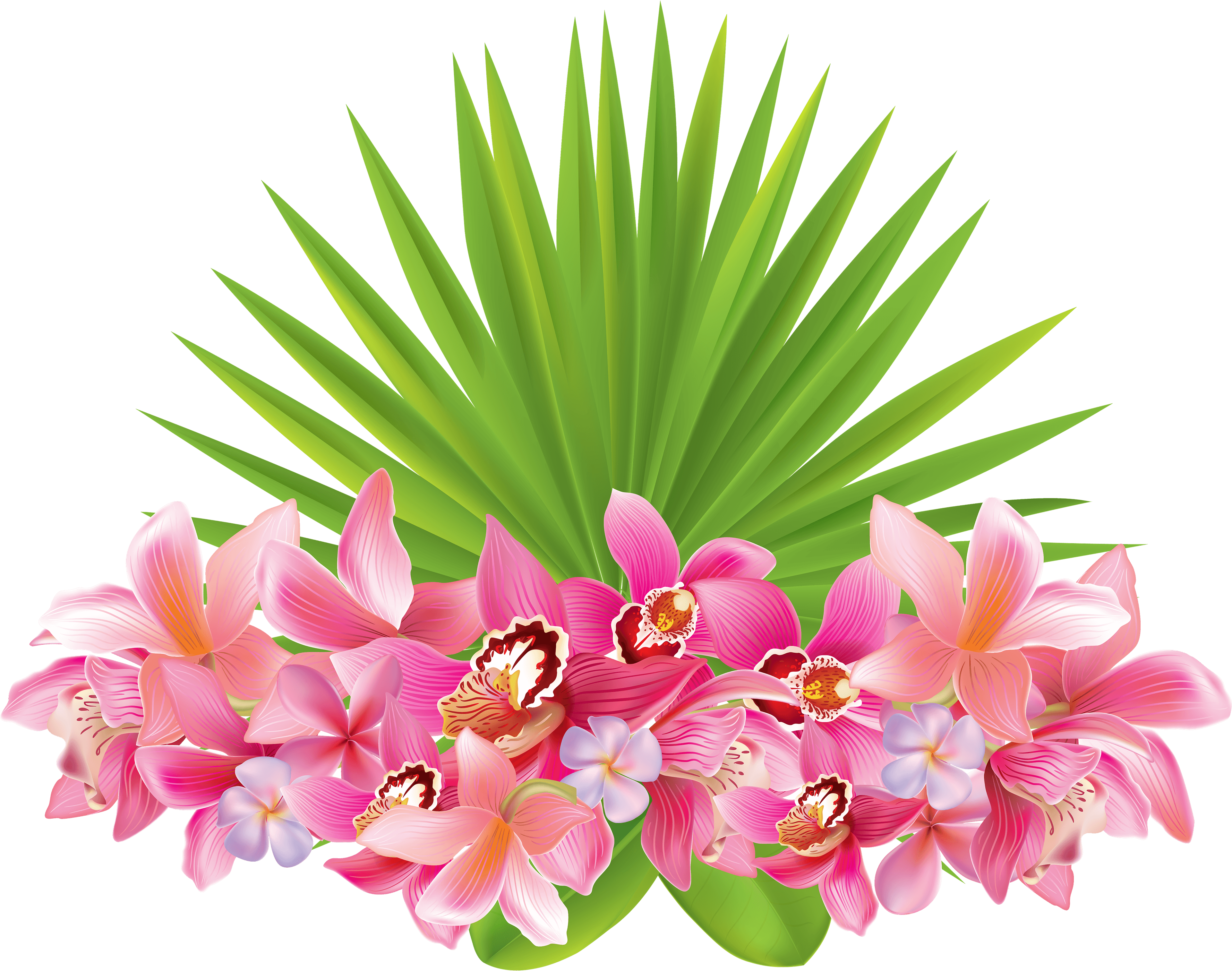 Summer Tropical Watercolor Clipart, Parrot Tropical - Tag Tropical Png Transparent PNG - 600x473 - Free Download on - Transparent PNG Free Download | PNGio